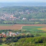 BI Wiesenttal